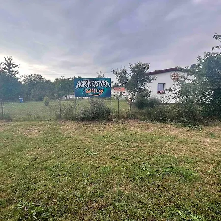 Apartment Willy Sarnowo